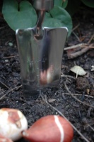 Verplantschepje
